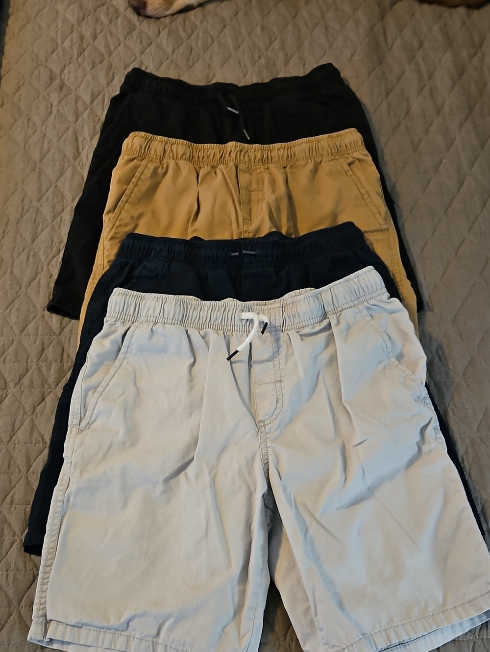 Boys XL/14 Cat & Jack 4 Shorts Bundle